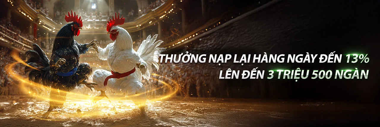 Chương Trình VIP Độc Quyền của sv388link code