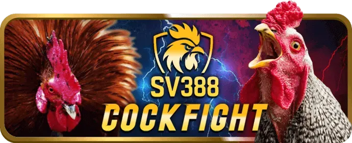 Cấp Độ VIP Bạch Kim